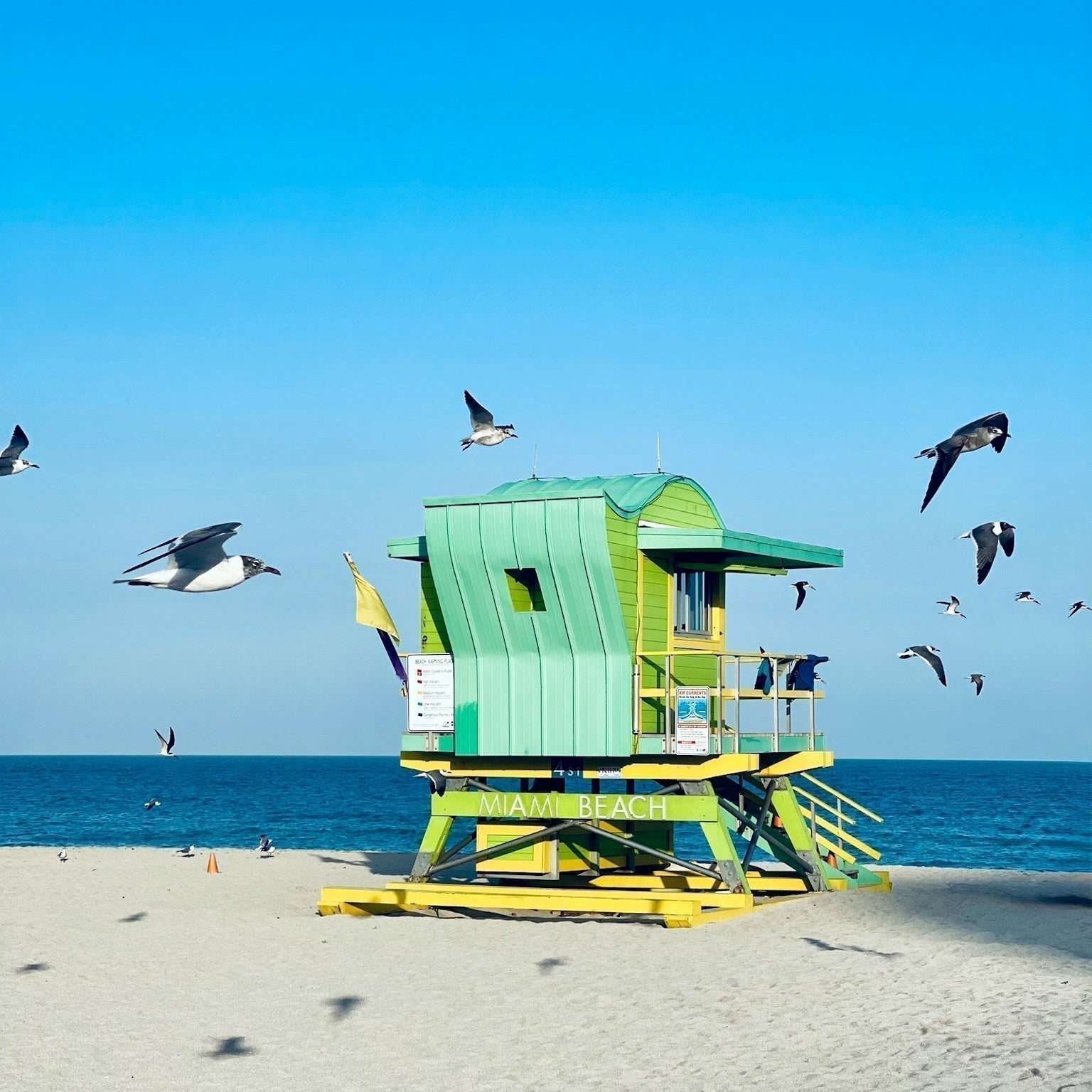 The Miami Lifeguard Tower Tour with Sand2Sea